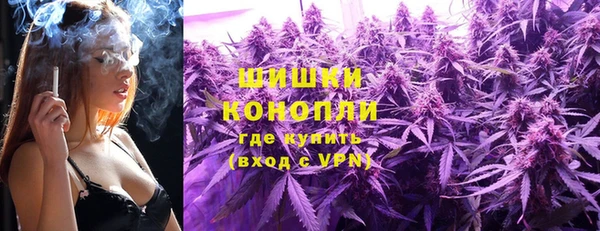 сатива Баксан