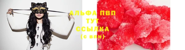 сатива Баксан