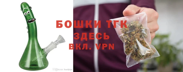 сатива Баксан