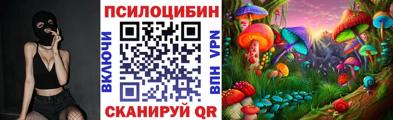 Псилоцибиновые грибы Psilocybe  Таштагол 